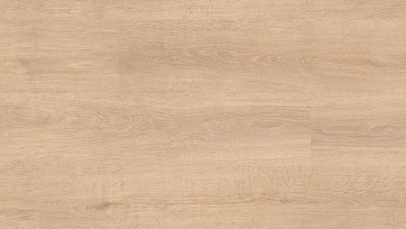 H1277 st9 Акация лэйклэнд светлая