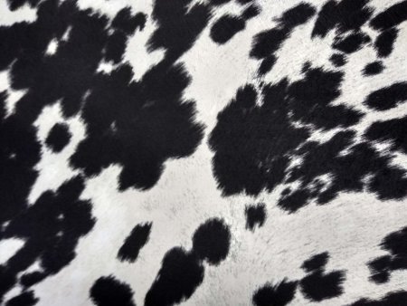 Текстура коровы (49 фото)