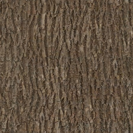 Spruce Bark texture бесшовная