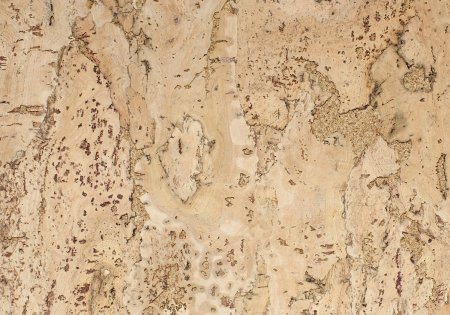 Пробковый панели стеновые Wicanders artwall