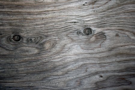 Текстура серого дерева (48 фото)