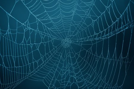 Паутина фон