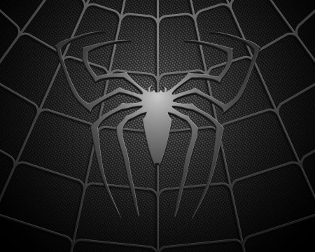 Текстура паука (44 фото)