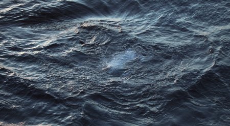 Темное море