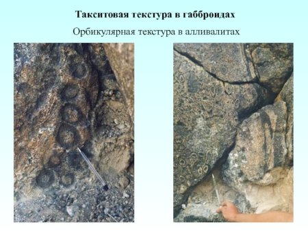Такситовая текстура горных пород