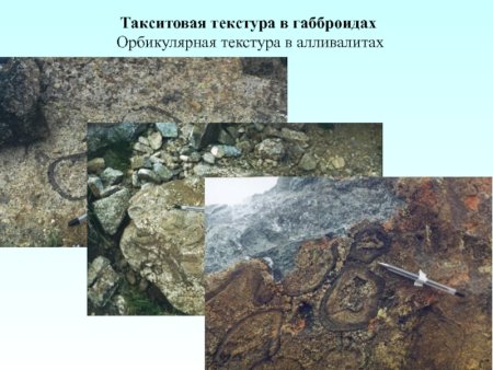 Такситовая текстура горных пород