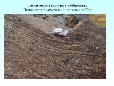 Такситовая текстура горных пород