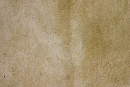 Текстура кости старой