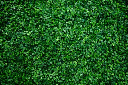 Искусственная трава Green grass 7