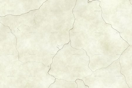 Губчатая костная ткань под микроскопом