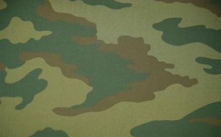 КМФ зеленая цифровая Флора
