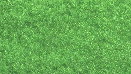 Текстура травы рисованная (47 фото)