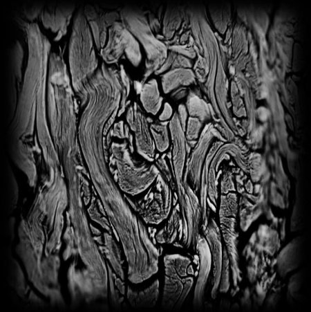 Zbrush Alpha кора дерева