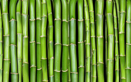 "Bamboo" "Bamboo. Bamboo (LP)"