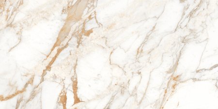 Calacatta Oro 120x60