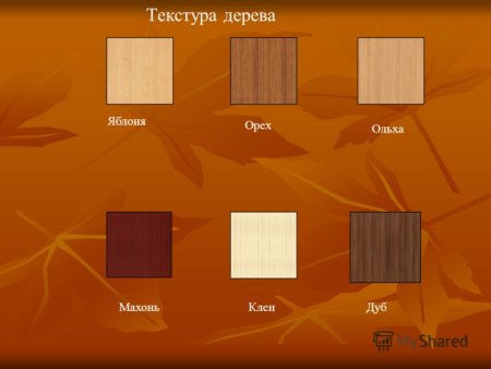 Текстура дерева яблоня