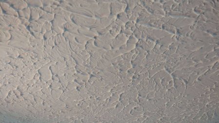 Divino Decor "листья 300х270"