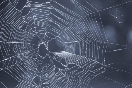 Паутина реалистичная