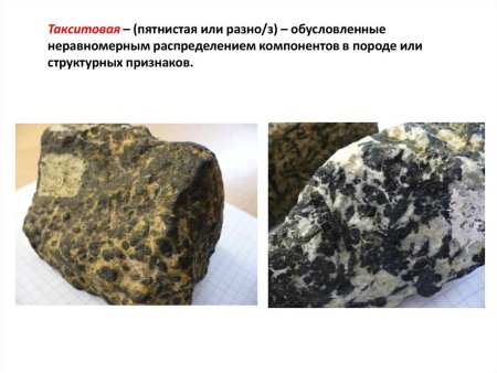 Такситовая текстура магматических пород
