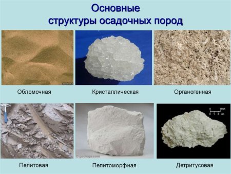 Структуры и текстуры осадочных пород