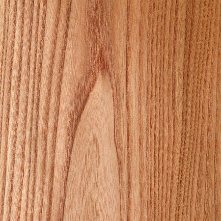 Вяз карагач древесина