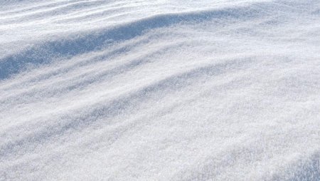 Corona Snow material
