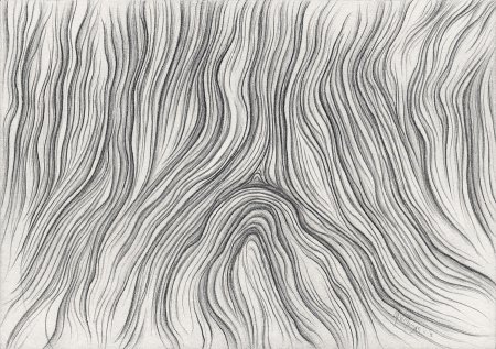 Текстура дерева рисунок карандашом (48 фото)
