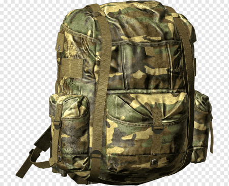Рюкзак Пегасус DAYZ