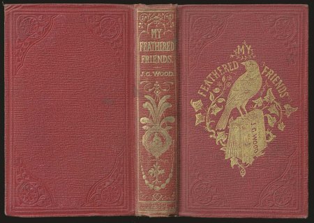Развертка обложки книги