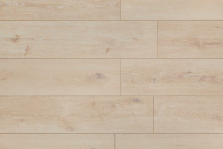 Belfloor Universal 8 bf80-002-un
