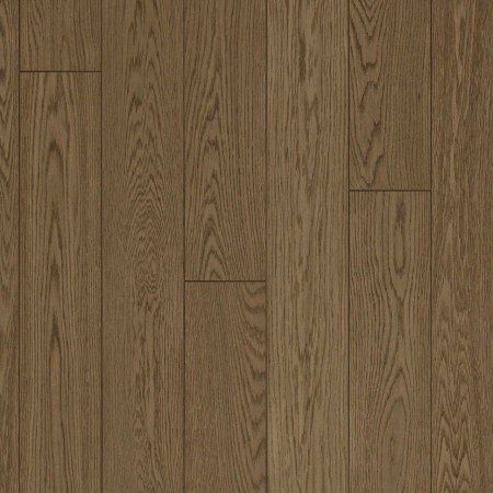 Линолеум Tarkett Triumph Master Oak 7