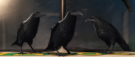Crow Dreamworks