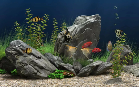 Dream Aquarium игра