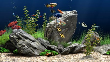 Dream Aquarium игра
