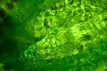 Зеленая вода