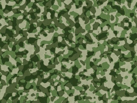 Woodland Camouflage 4r