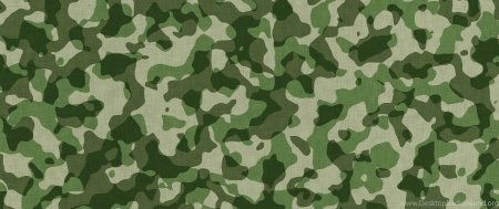 Зеленый фон хаки
