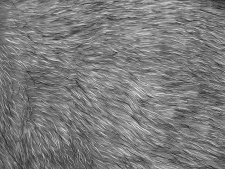 Черно белый мех