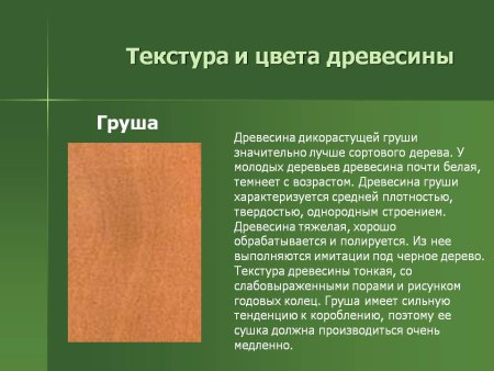 Цвет древесины груши