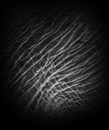 Кожа Zbrush Alpha