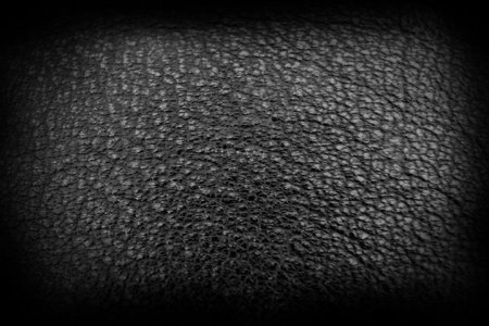 Кожа Zbrush Alpha