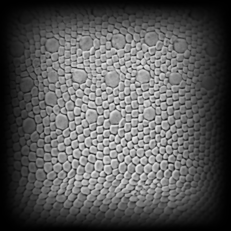 Displacement кожа