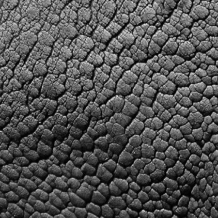 Альфа кожи для Zbrush