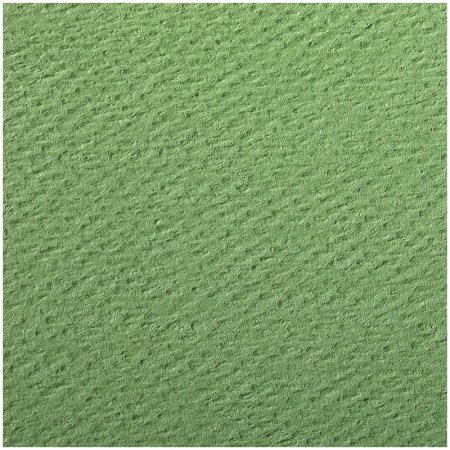 Clairefontaine "Etival Color" зеленое яблоко