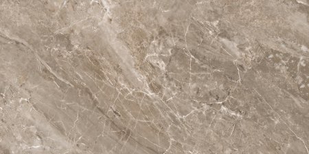 Versace Marble 240017 Marrone Onice lap. 58,5x58,5 - керамическая плитка