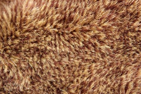 Мех фактура
