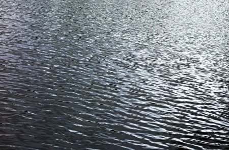Водная гладь реки