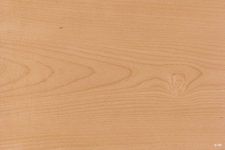 Бук фактура древесины