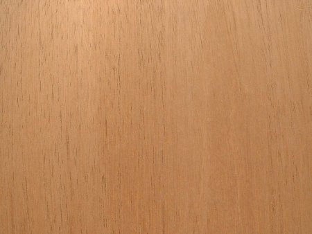 Текстура древесины бука (36 фото)