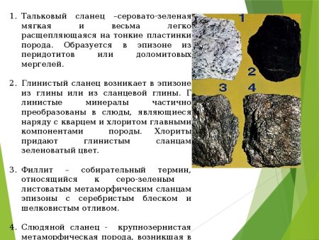 Глинистый сланец структура породы